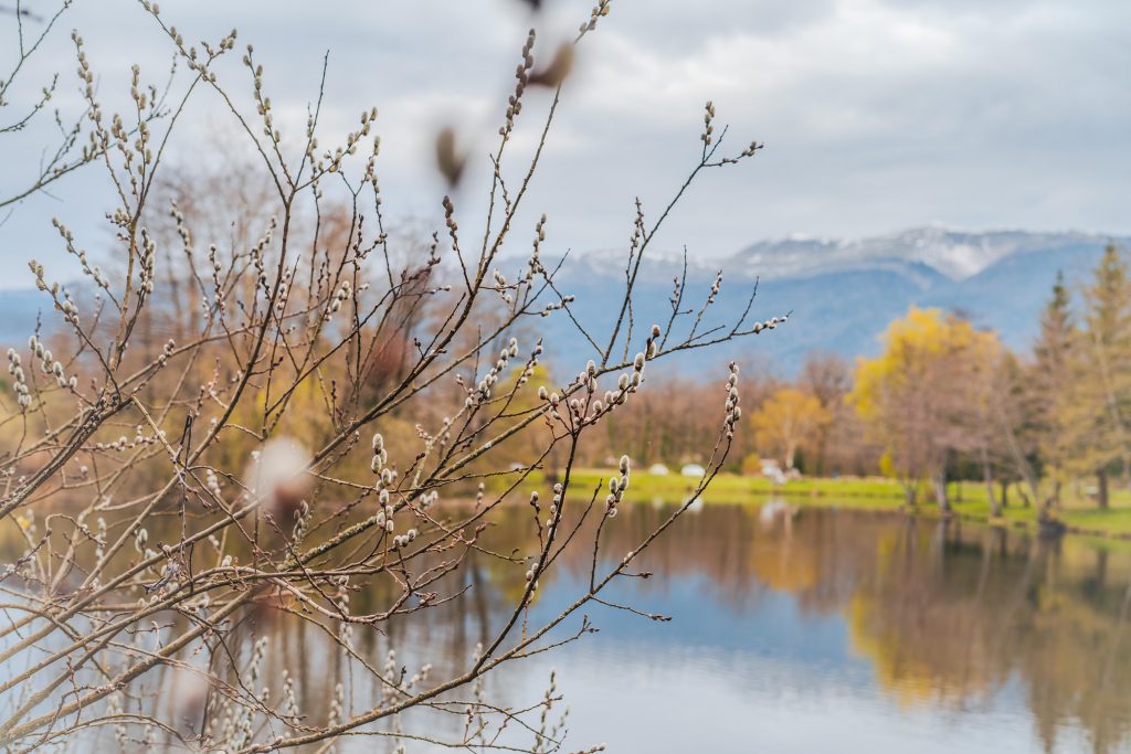 Etang de Cessy