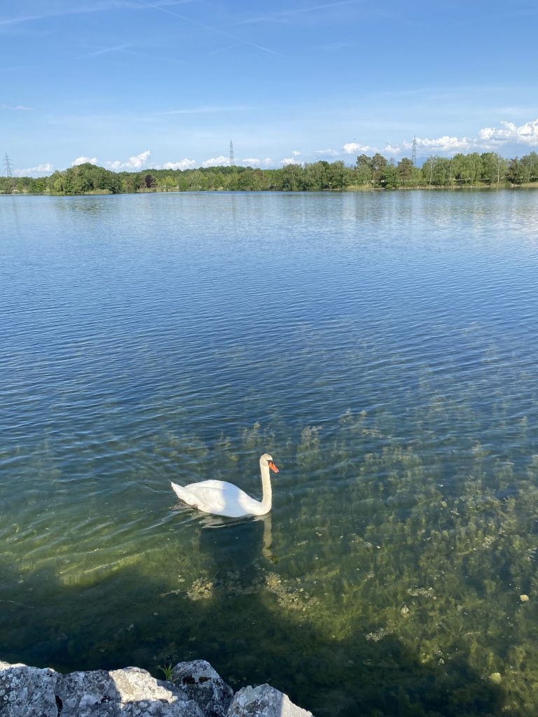 Lac de Divonne