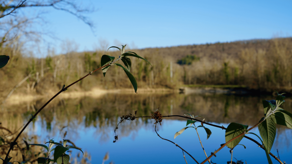 Marais de l'Etournel