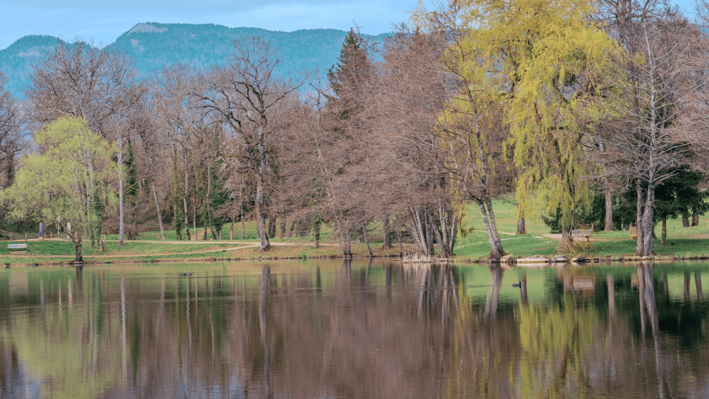 Etang de Cessy