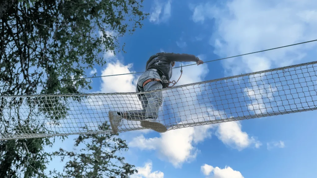 Tree climbing course