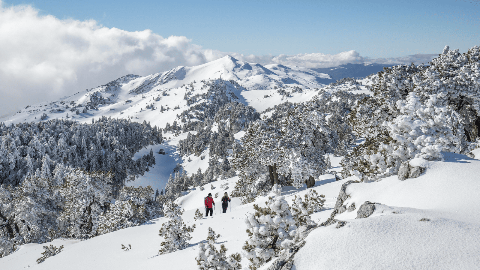 Crêt de la neige raquettes