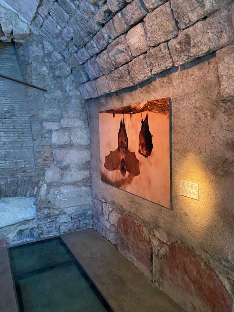 Fort l'Ecluse