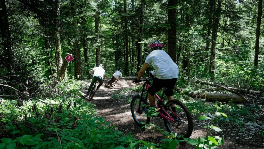 Downhill mountain biking