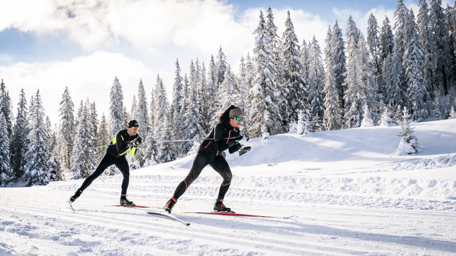 Ski de fond
