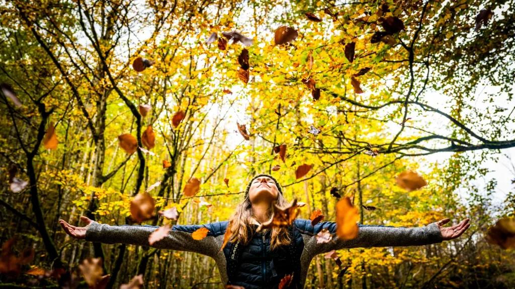 Automne dans le Pays de Gex - Monts Jura