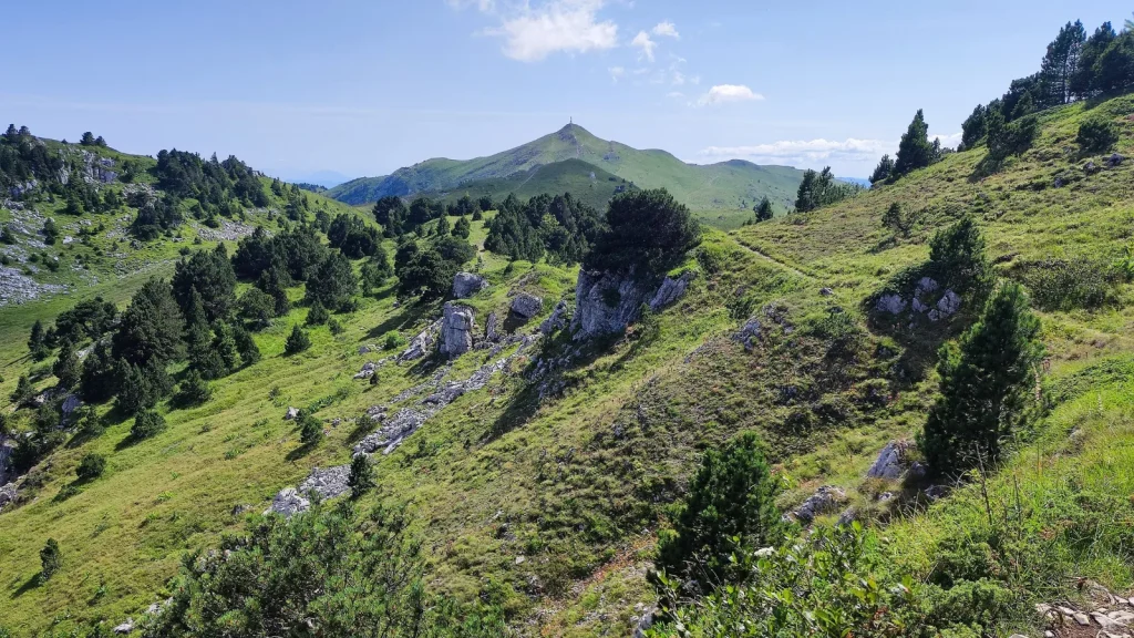 Vue sur le Reculet depuis le Crêt de la neige