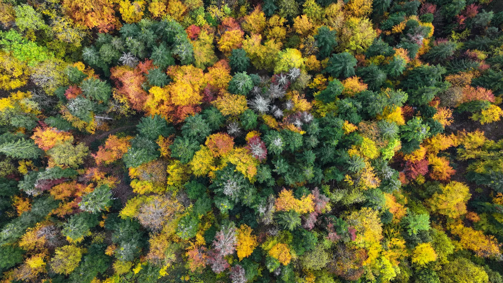 Automne Pays de Gex