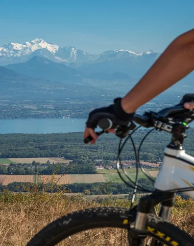 Mountain bike Mourex