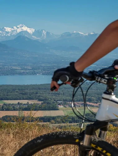 Mountain bike Mourex