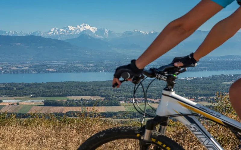 Mountain bike Mourex