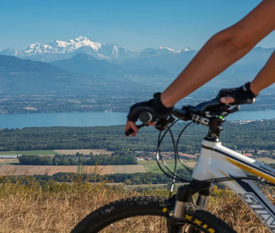Mountain bike Mourex