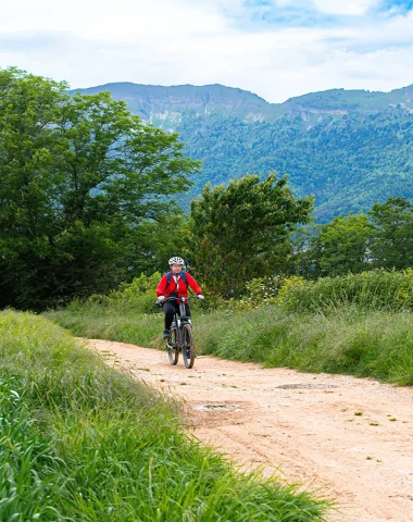VTT Cross Country
