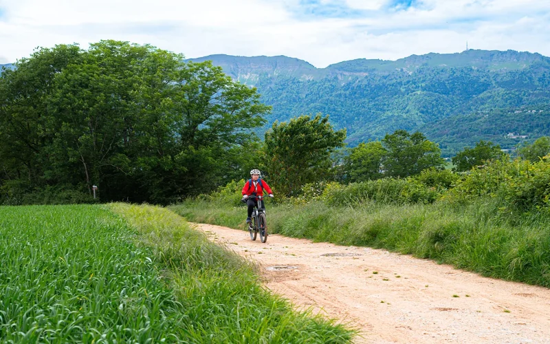 VTT Cross Country