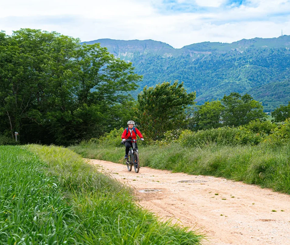 VTT Cross Country