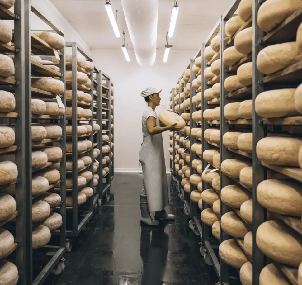 Fromager Bleu de Gex