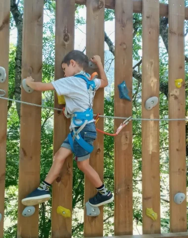 Tree climbing course