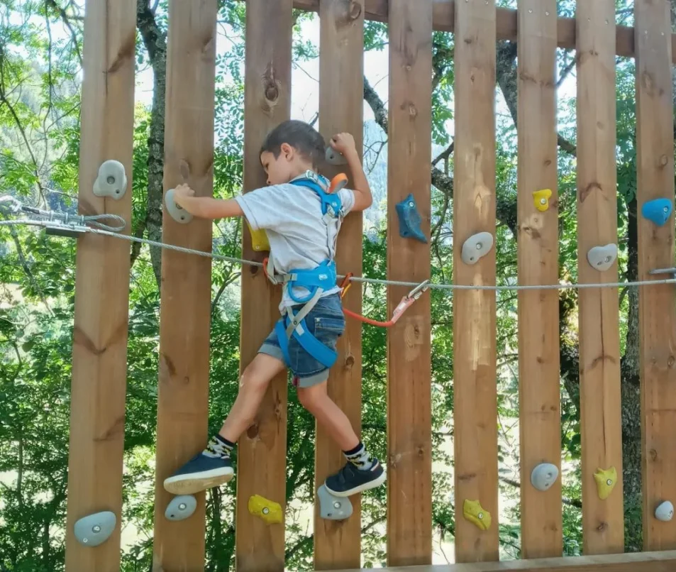 Tree climbing course