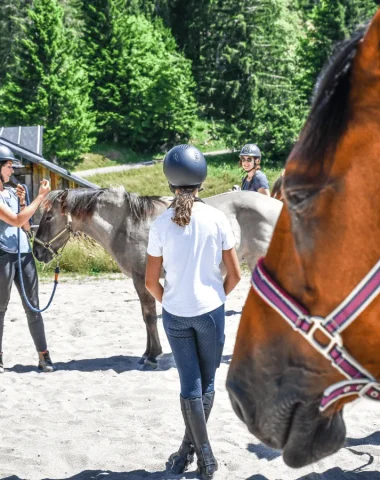 Equestrian activities