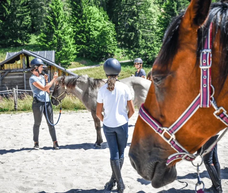 Equestrian activities
