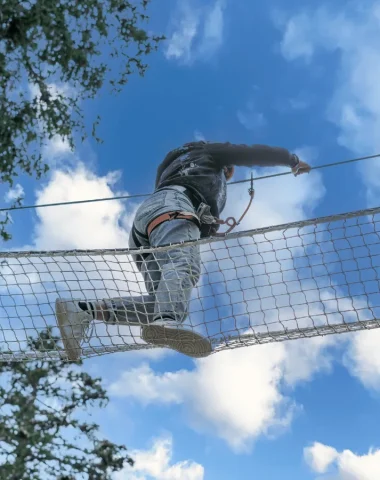 Tree climbing course