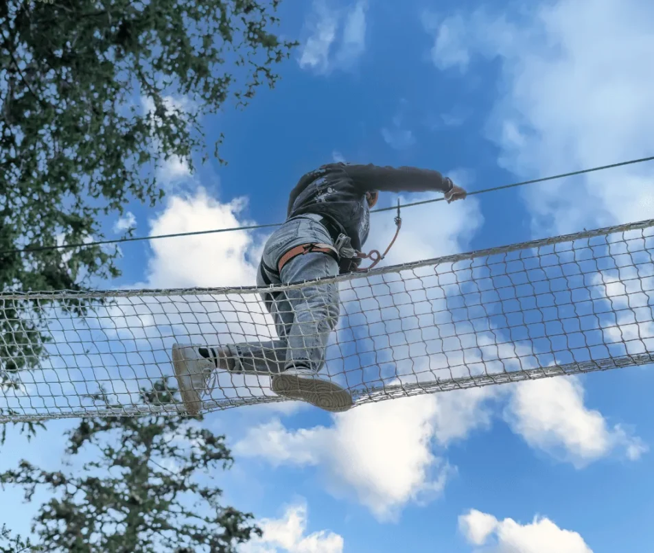 Tree climbing course