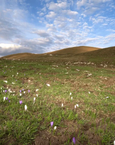 Réserve naturelle de la haute chaine du Jura