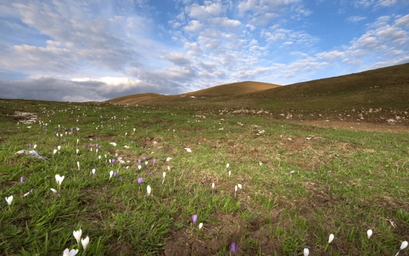 Réserve naturelle de la haute chaine du Jura