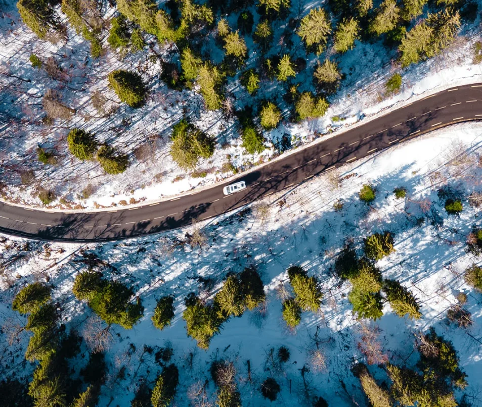 Forets enneigées