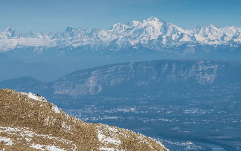 Point de vue Mont Blanc