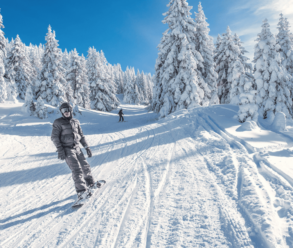 Snowboard