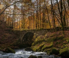 Valserine Valley