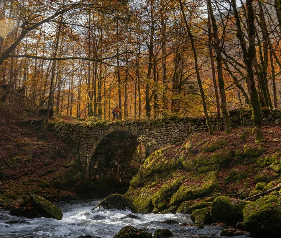 Valserine Valley