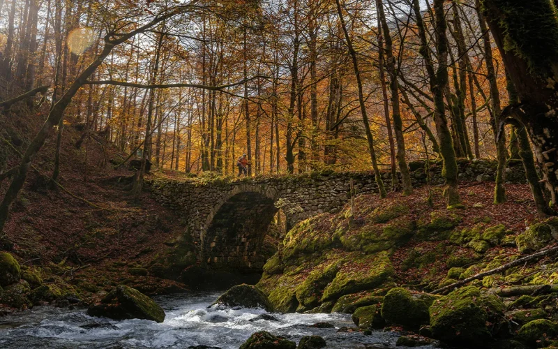 Vallée de la Valserine