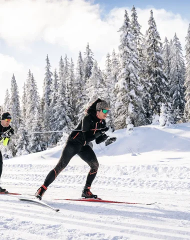 Ski de fond