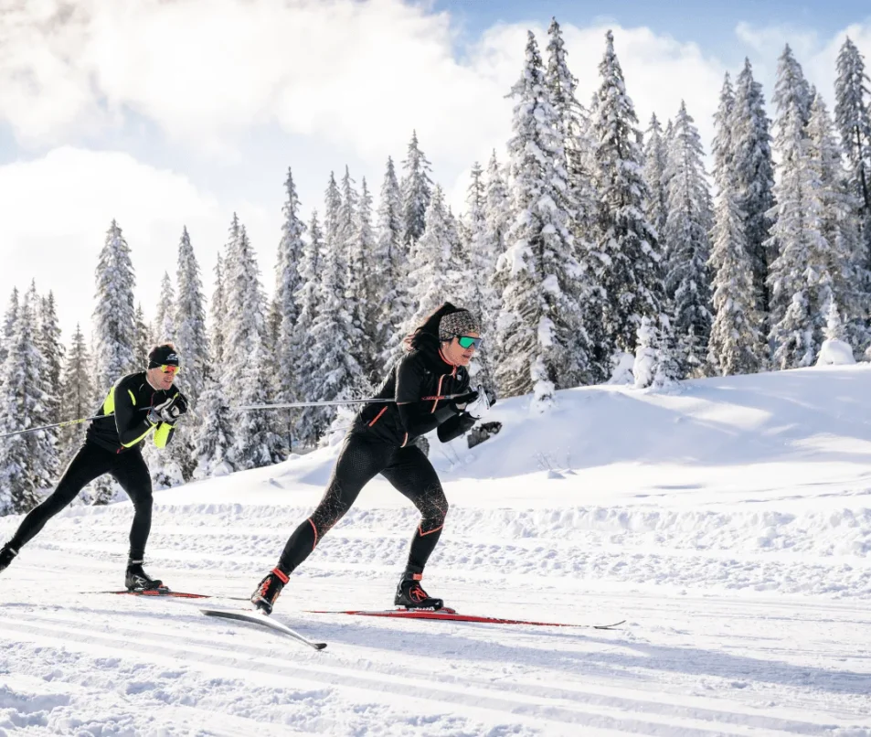 Ski de fond