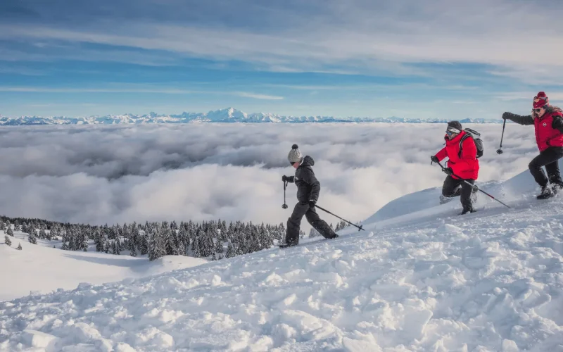 Snowshoe prices