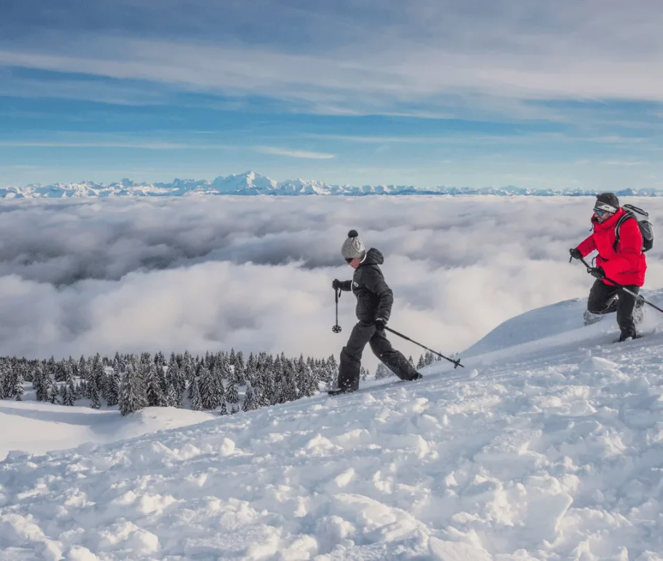 Snowshoe prices