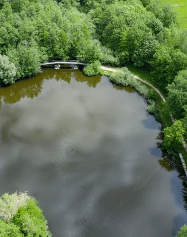 Etang de Cessy