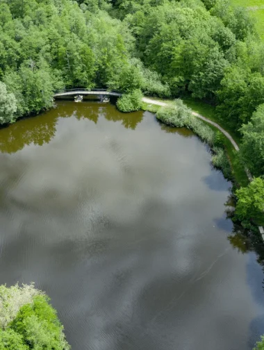Etang de Cessy