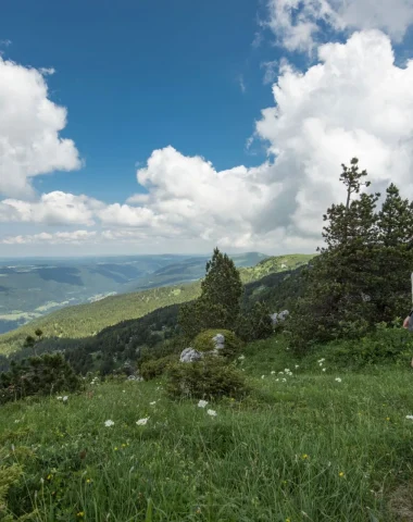 Randonneuse contemplant la vue lors de la randonnée itinérante dans les Monts Jura