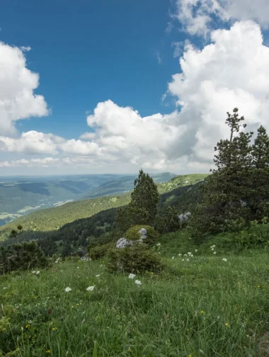 Randonneuse contemplant la vue lors de la randonnée itinérante dans les Monts Jura