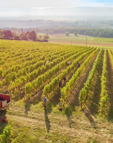 Domaine de Mucelle