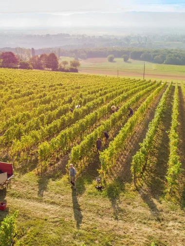 Domaine de Mucelle