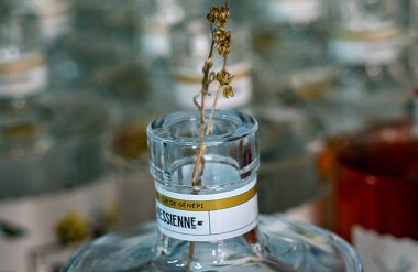Fleur la Gessienne