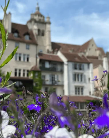 Collégiale et le quartier des Tanneurs à Dole