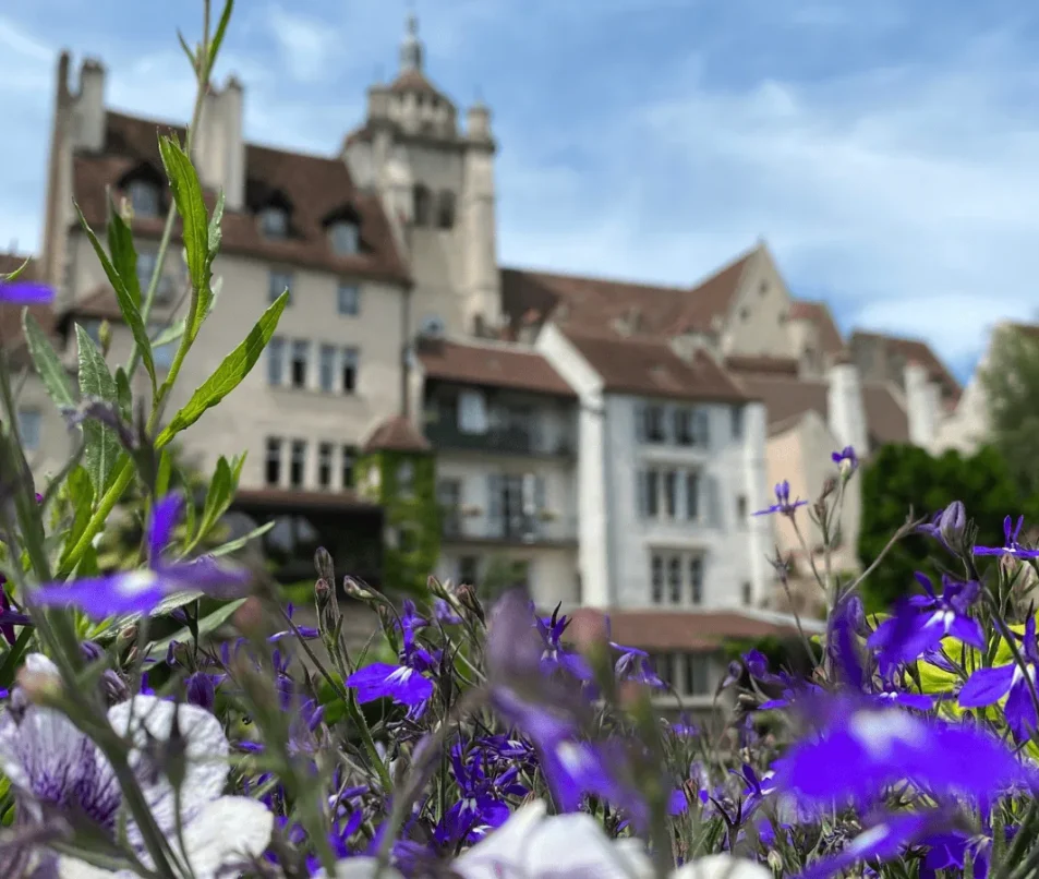 Collégiale et le quartier des Tanneurs à Dole