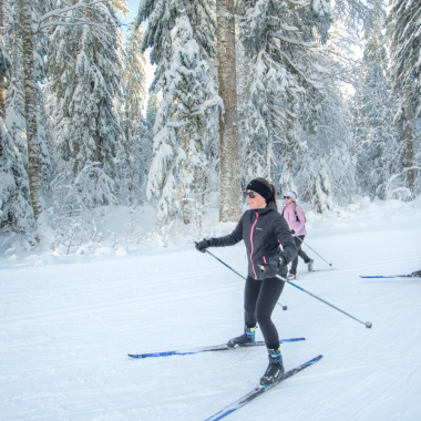 Ski de fond