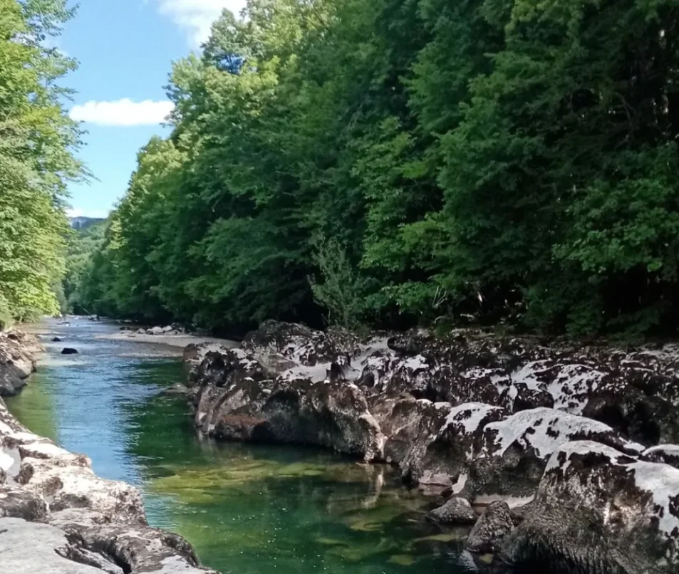 Pertes de la Valserine