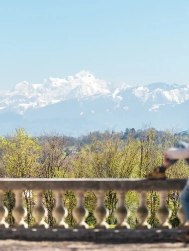 Parc du château de Voltaire devant le Mont Blanc